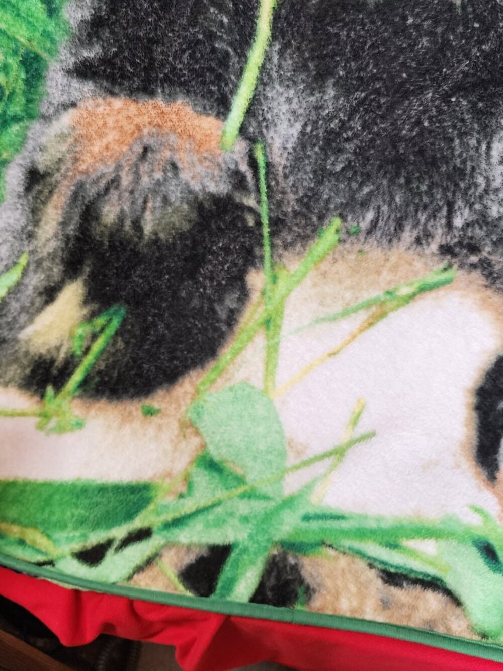 Unbranded Green White Black Brown SuperSoft Poly Fleece 45"x60" Panda Blanket - Picture 14 of 16
